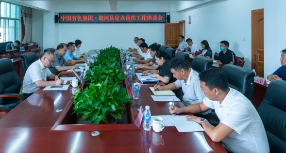 10066209427989463048 召开座谈会