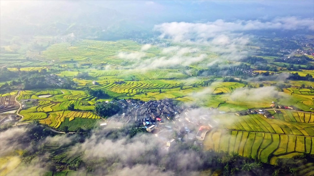 e7223d10-7260-4f5d-8661-cafa260a4909image1